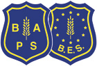 Bilingual European School